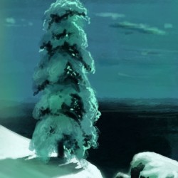 In the wild north